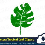 Monstera Tropical Leaf Clipart