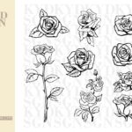 Rose Outline SVG