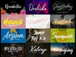 Brush Font Bundle 3