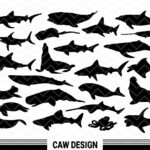 Sea Animals Silhouette Vector Fish SVG Cut File