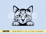 Funny Peeking Cat SVG