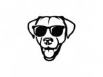 Lab with sunglass svg, cool lab JPG