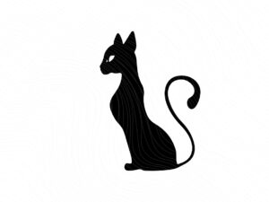 crazy-cat-lady-svg