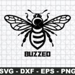 Buzzed-Bee-Honey-Bee-Instant-Download-Ready-to-Cut