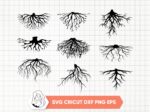 Roots-SVG-Roots-Silhouette-Clipart-Bundle