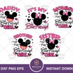 Cricut SVG Bundle Birthday Girl It's My Birthday