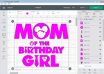 African American Boss Baby Birthday Girl 7 (2)