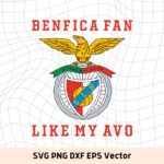 benfica svg, benfica fan like my avo design vector