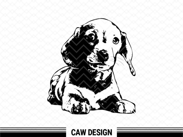 dachshund dog svg clipart