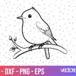 Robin Bird SVG Vector File