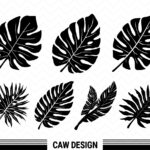 Cricut Leaves SVG, Tropical Leaf, Palm Clipart