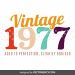 Vintage 1976 SVG Cricut, Funny Sarcastic Birthday Design